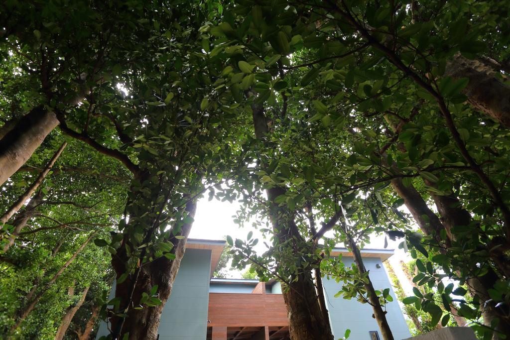 Villa Tabinoteitaku Okinawa Bise Homann Concept Motobu Exterior foto